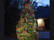 2nd Annual Christmas Tree Lighting Ceremony