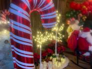 4th Annual Christmas Tree Lighting Ceremony