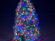 5th Annual Christmas Tree Lighting Ceremony