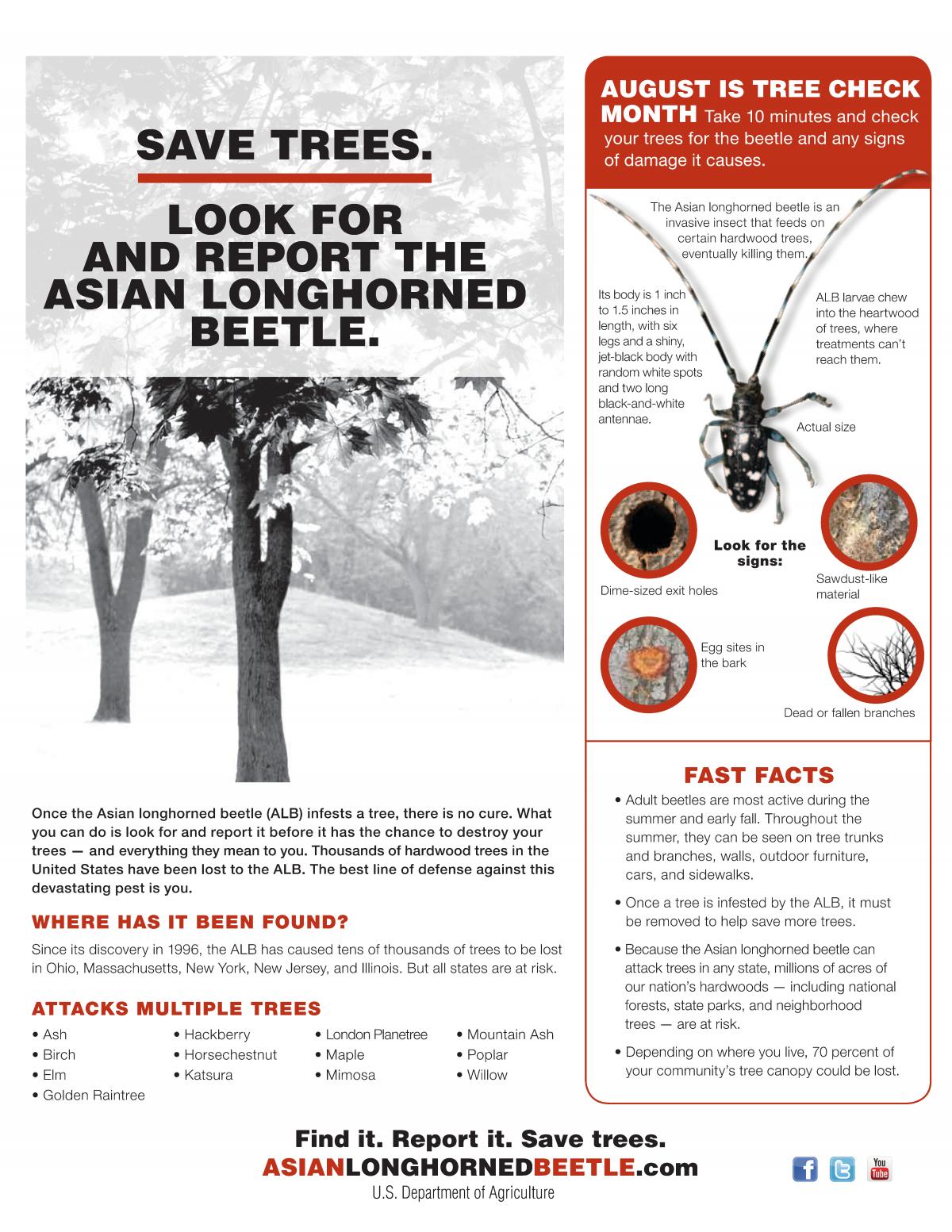 USDA Asian Longhorned Beetle Fact Sheet