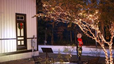 2nd Annual Christmas Tree Lighting Ceremony