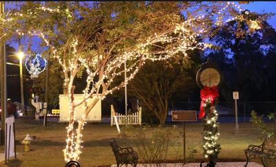 2nd Annual Christmas Tree Lighting Ceremony