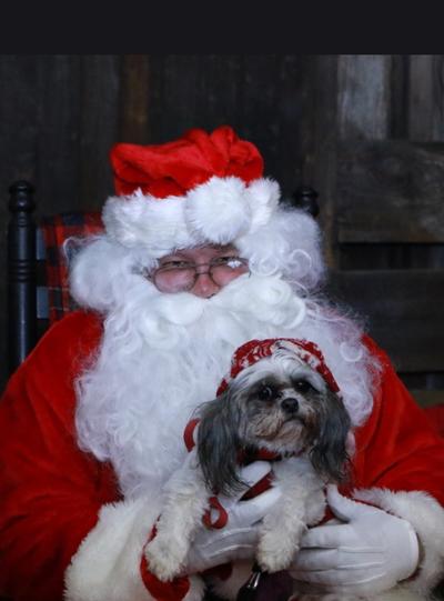 2nd Annual Christmas Tree Lighting Ceremony